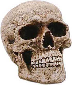 This life size human skull is actually a secret hiding place to 